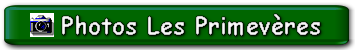 Photos les Primevères