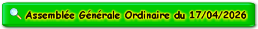 Assemblée Générale Ordinaire du 17/04/2026
